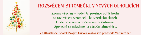  Rozsvěcení stromečku v Nových Ouholicích