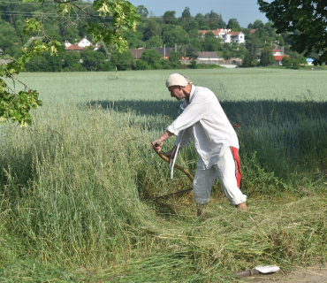 Novoveský sekáč 2020