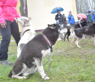 Vítání jara 2019